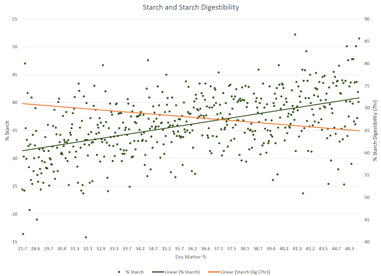 Starch vs DM 1